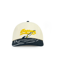DIVE HAT